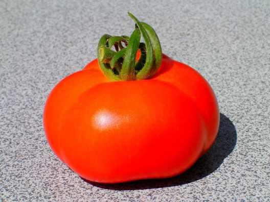 Vegetables